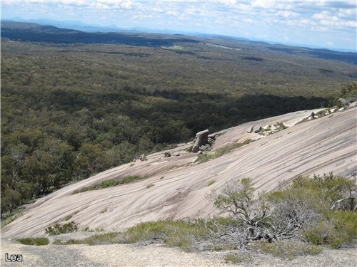     Tenterfield,  New England Region - 2