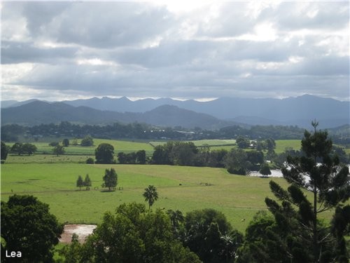       Tweed Valley and Nightcap Ranges - 2